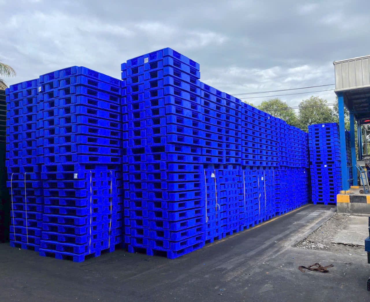 Chồng pallet nhựa màu xanh dương xếp cao ngoài trời tại kho hàng