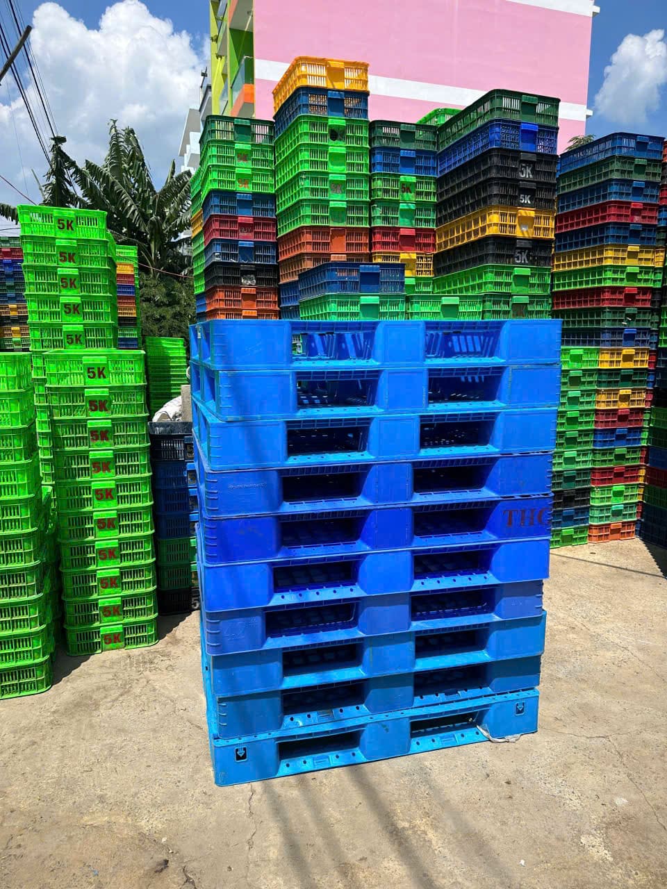 Pallet nhựa xanh dương và sọt nhựa xếp chồng ngoài trời