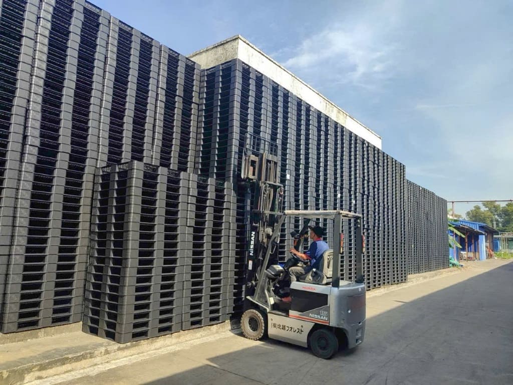 Xe nâng bốc xếp các cây pallet nhựa đen số lượng lớn