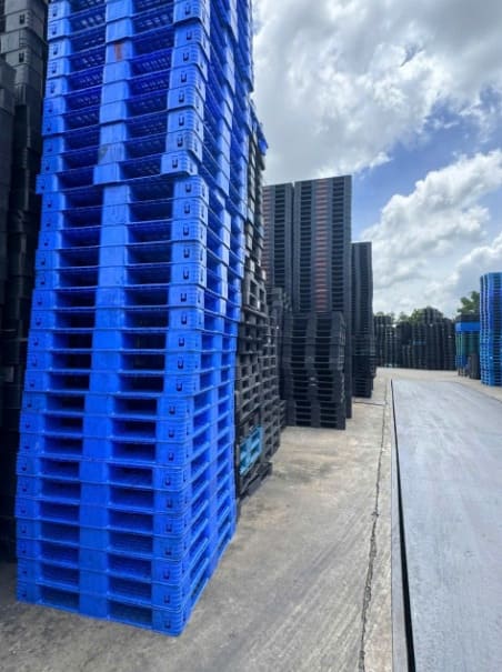 Bãi tập kết pallet nhựa xanh và đen số lượng lớn 