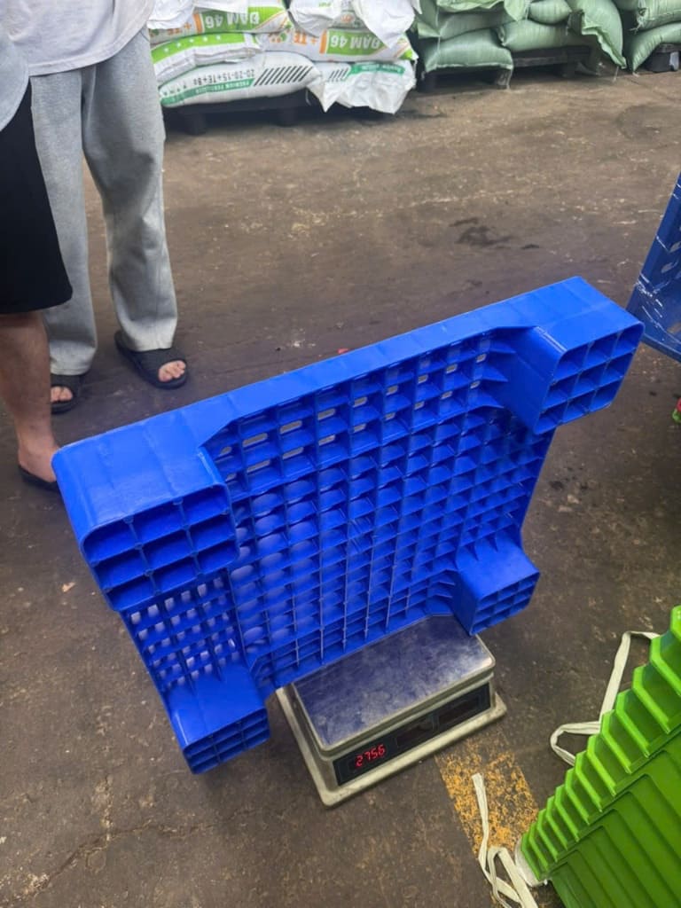 Cân kiểm tra trọng lượng thực tế pallet nhựa màu xanh