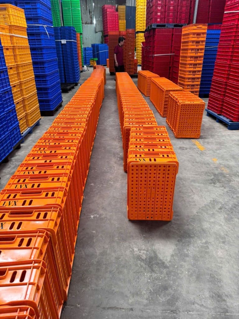 Dãy sọt nhựa hở màu cam xếp hàng dài kiểm đếm tại kho