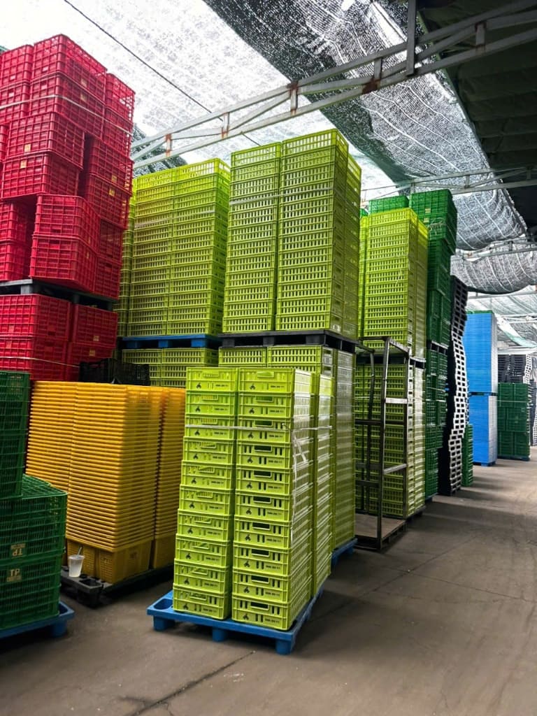Tổng kho sọt nhựa công nghiệp nhiều màu sắc xếp chồng trên pallet