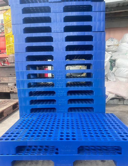 pallet nhựa kho lạnh 1