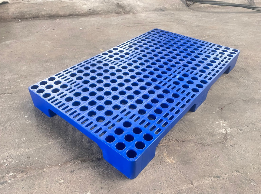 pallet nhựa kho lạnh 2