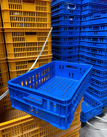 sóng nhựa đựng cua 2