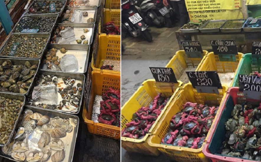 sóng nhựa đựng cua 3