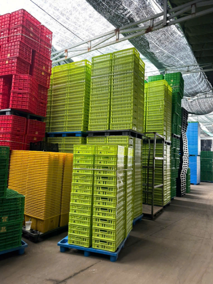 sóng nhựa đựng cua 5