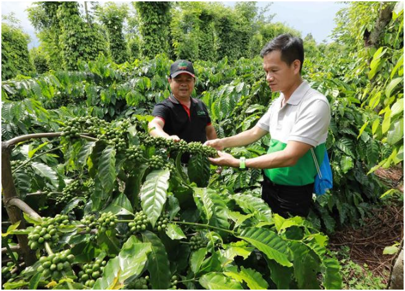 Nhựa công nhiệp