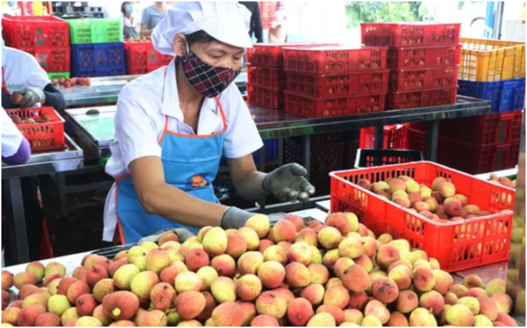 Nhựa công nghiệp