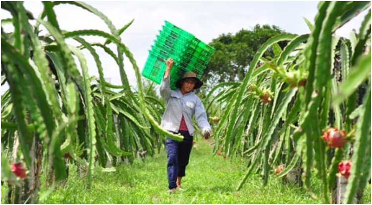 Nhựa công nghiệp