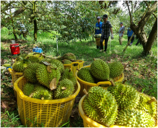 Nhựa công nghiệp