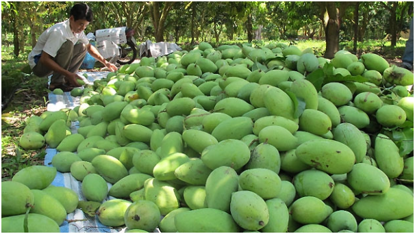 Mua bán nhựa công nghiệp