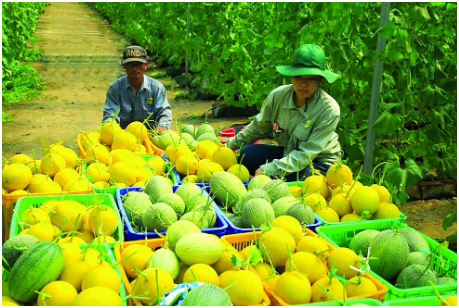 Mua bán nhựa công nghiệp