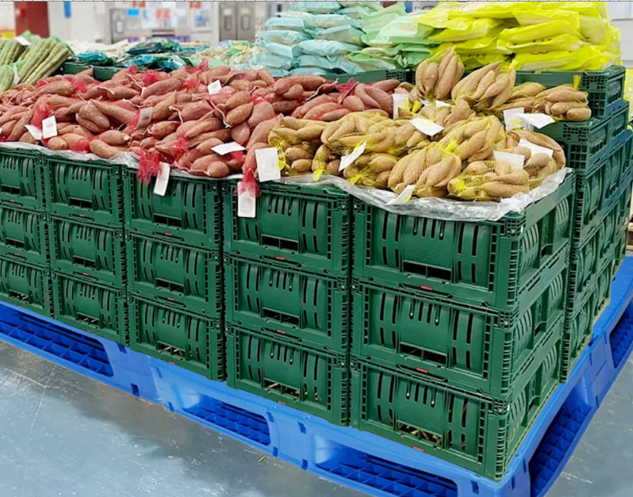 pallet nhựa kê nông sản