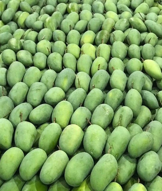 xoài