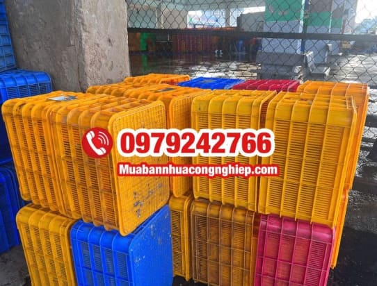 Sóng nhựa hở màu xanh xếp tầng bảo quản múi sầu riêng trong kho mát