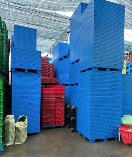 Kho tập kết pallet nhựa lót sàn màu xanh số lượng lớn