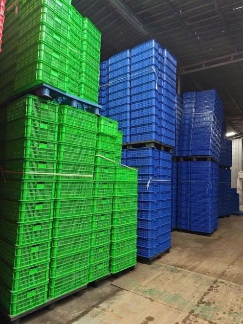 Kho sóng nhựa công nghiệp xếp chồng phân khu theo màu sắc