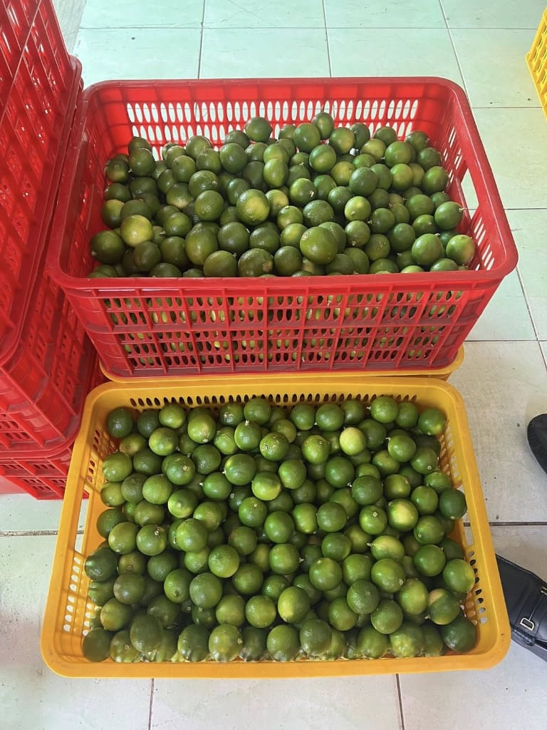 Sóng nhựa hở màu đỏ và vàng nan thưa đựng chanh tươi thu hoạch