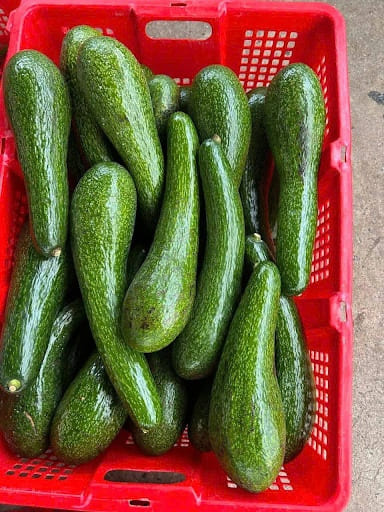 Sọt nhựa hở màu đỏ đựng bơ sáp