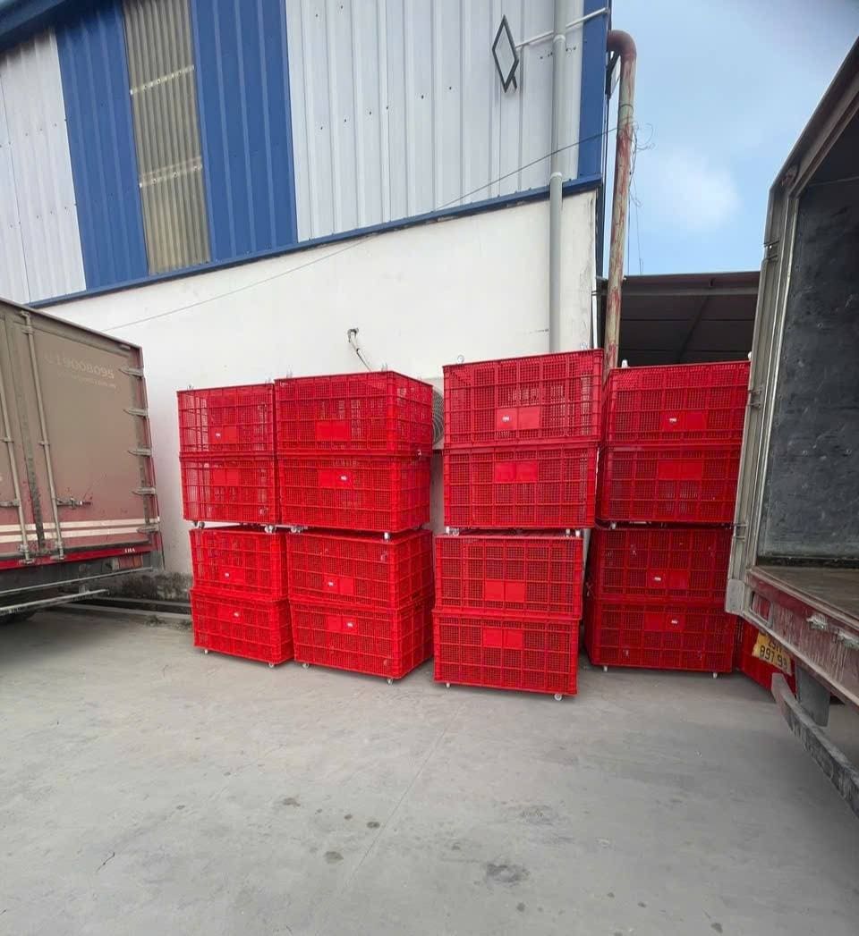 Sóng nhựa hở màu đỏ có bánh xe chuyên chở trái cây cạnh xe tải