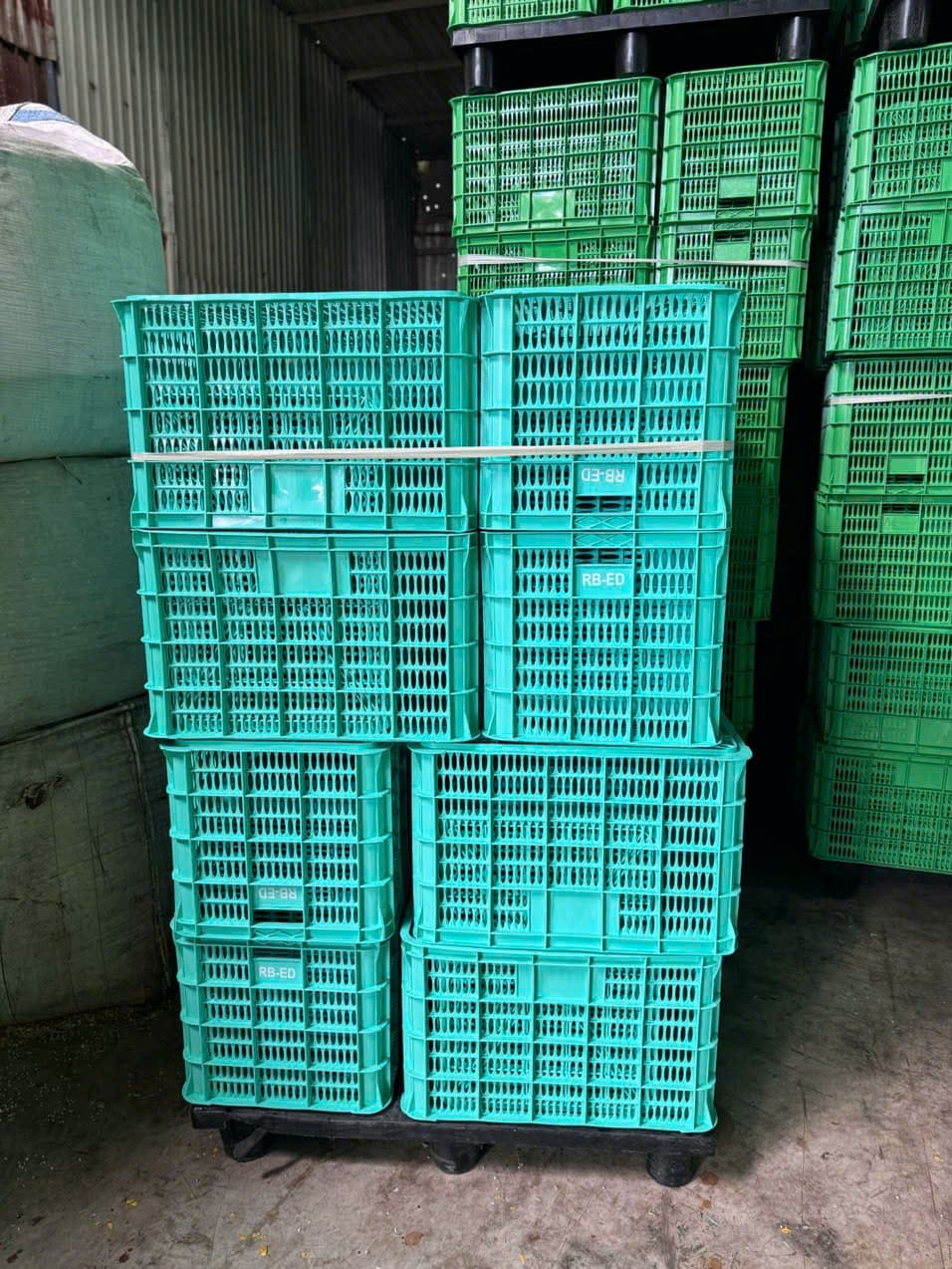 Kiện sóng nhựa hở xanh ngọc nan thưa bảo quản trái cây trên pallet