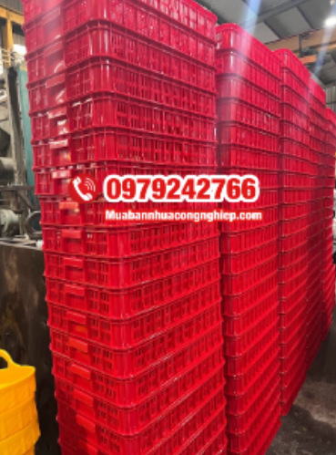 Vì sao cần sử dụng rổ nhựa chuyên dụng đựng múi sầu riêng?