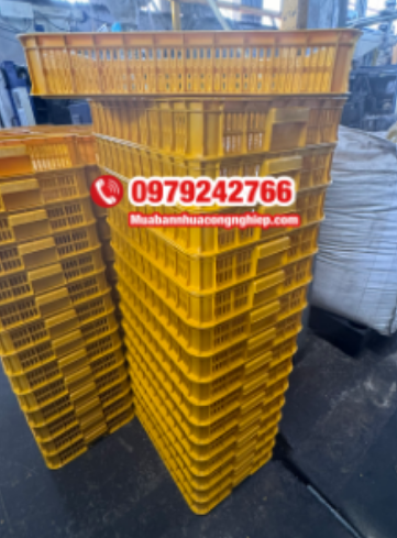 Rổ nhựa đựng múi sầu riêng – Giải pháp bảo quản tối ưu cho nhà vườn