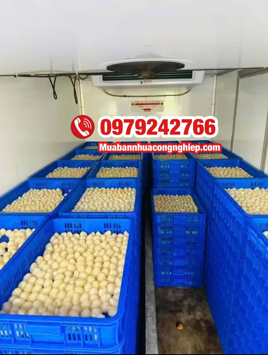 Rổ nhựa 1 tấc là gì?