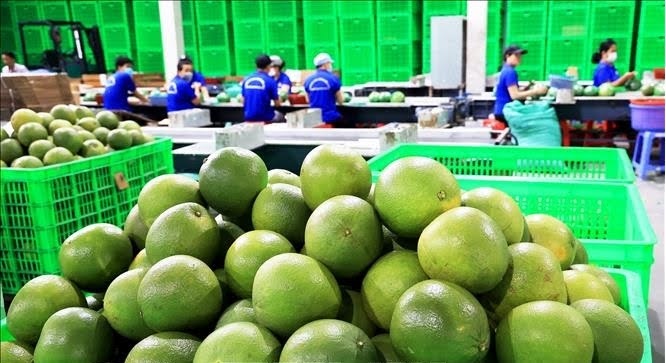 Sóng nhựa là gì? Vai trò trong ngành công – nông nghiệp tại Đồng Nai