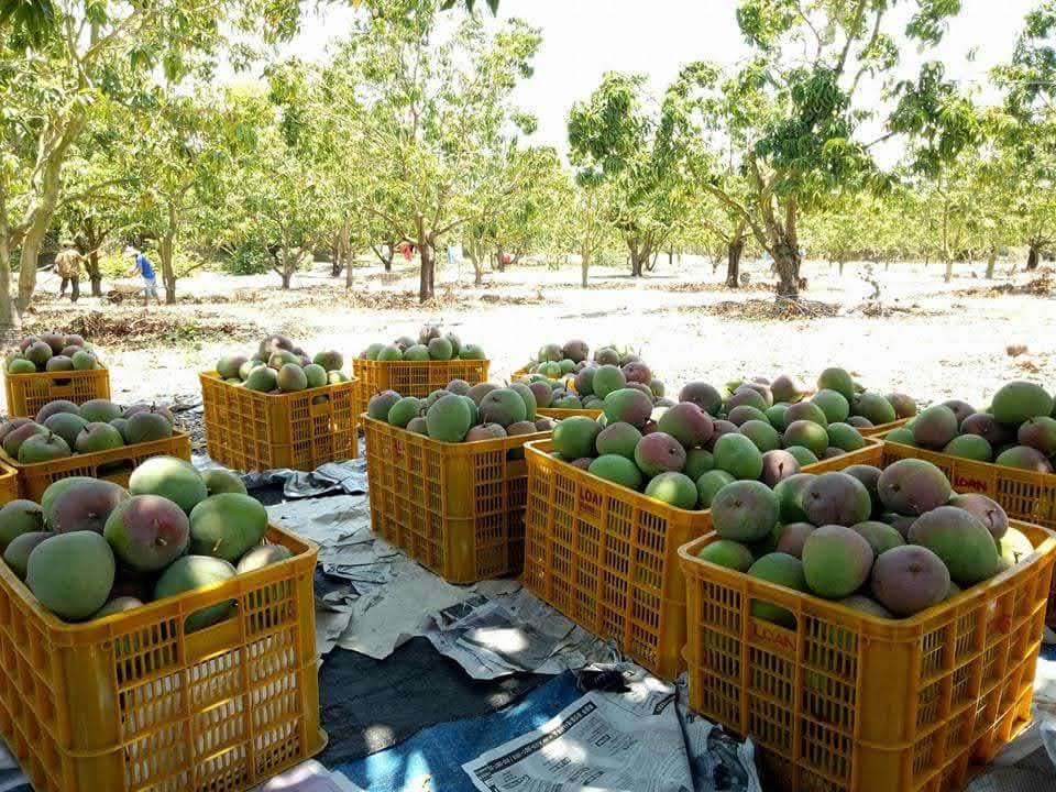 Các loại sóng nhựa thông dụng tại Đồng Nai (phân loại theo nhu cầu)