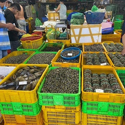 Sọt nhựa hở thấp – Dễ xếp chồng, phù hợp với hải sản nhỏ