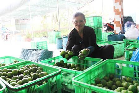 Tại sao nên dùng rổ nhựa 3T1 để đựng chanh?
