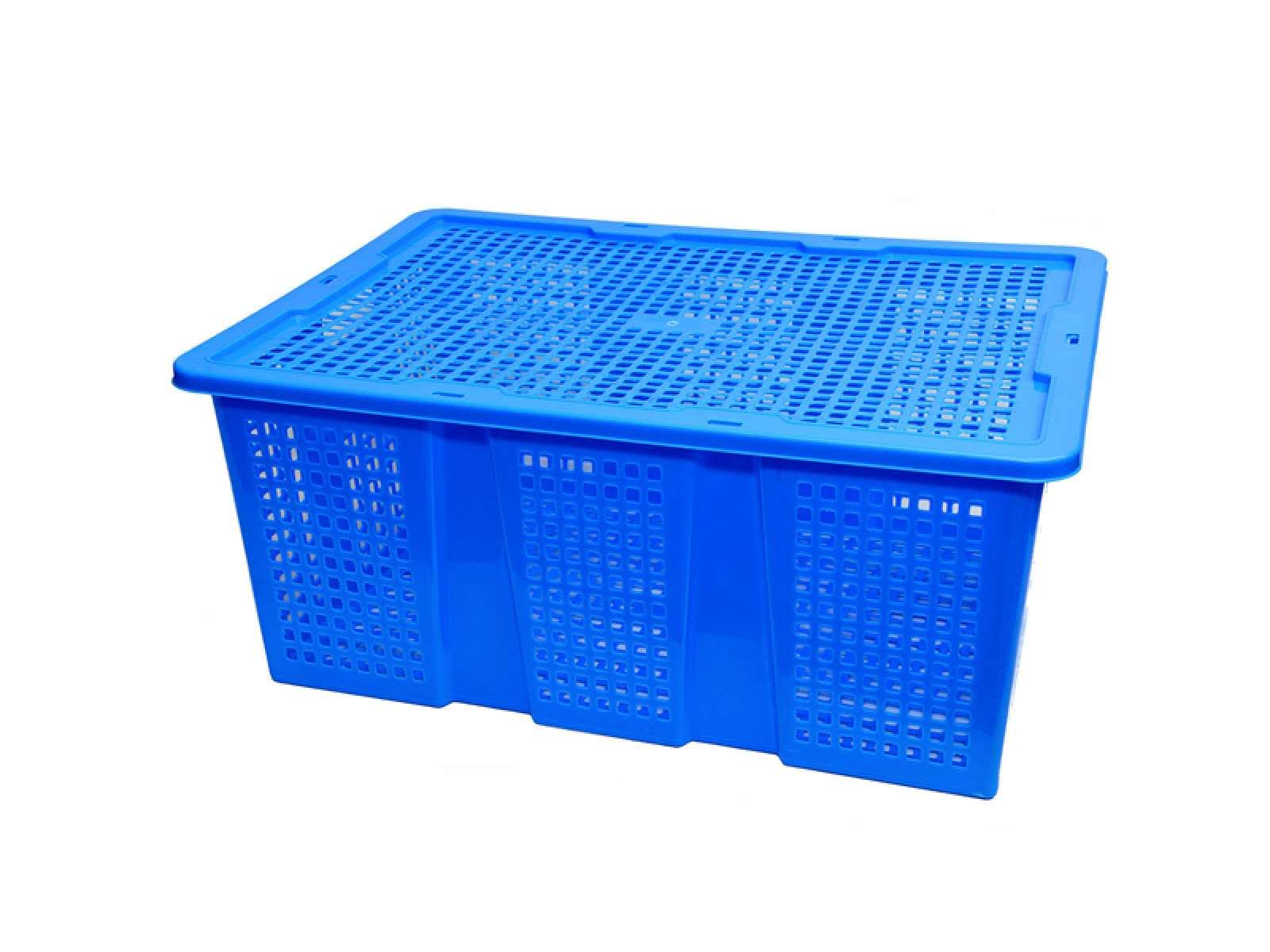 Sọt nhựa có nắp đậy