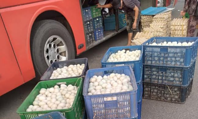 Khả năng xếp chồng và vận chuyển tiện lợi