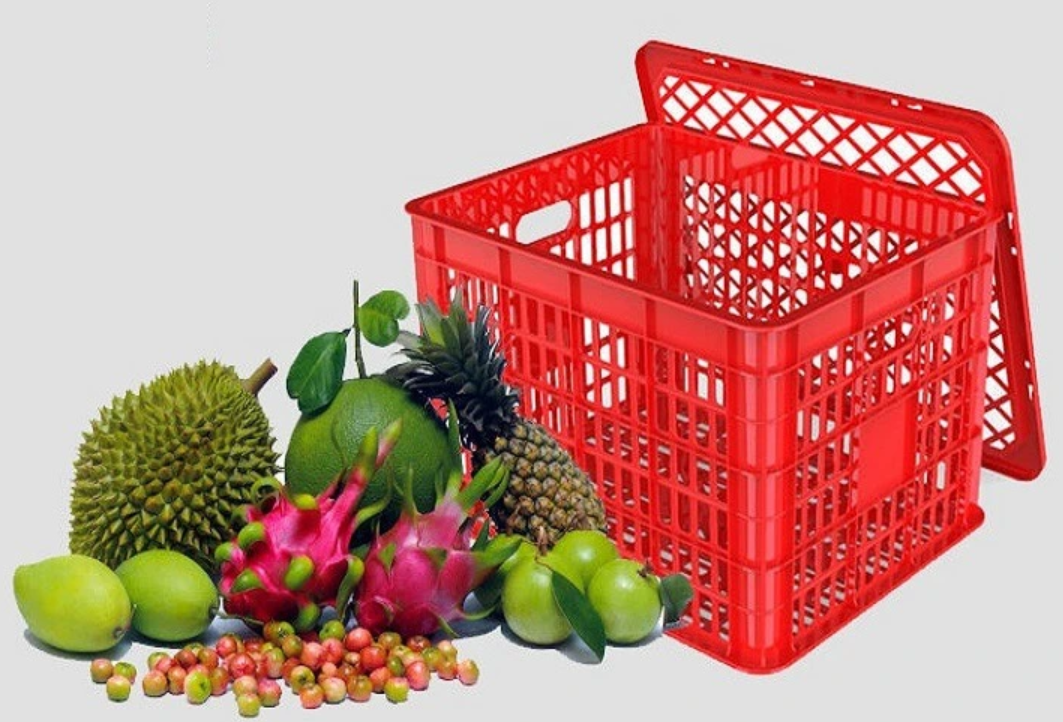 Phân loại giỏ nhựa đựng trái cây phổ biến
