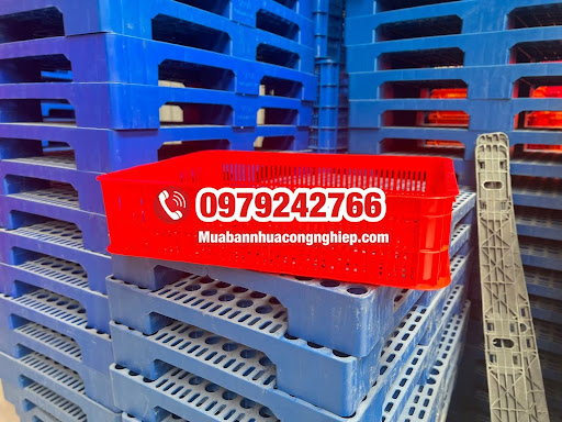 Sọt đựng ếch 1t5 – Giải pháp đóng gói thuận tiện và tiết kiệm