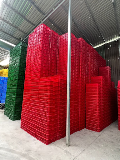 Sọt đựng ếch 1t5 – Giải pháp đóng gói thuận tiện và tiết kiệm