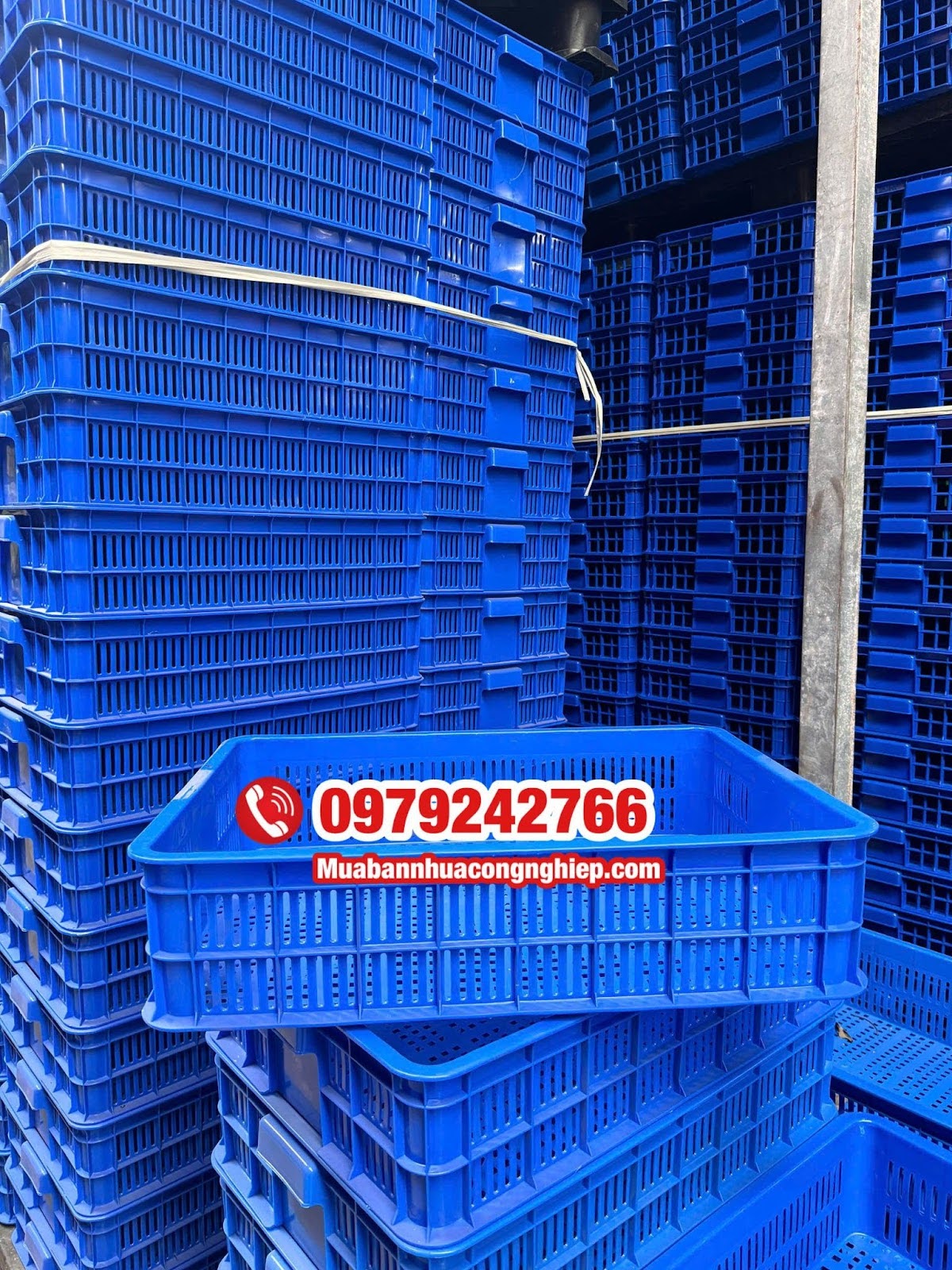 Khay đựng trứng 1T5 – Bảo vệ sản phẩm trong quá trình vận chuyển