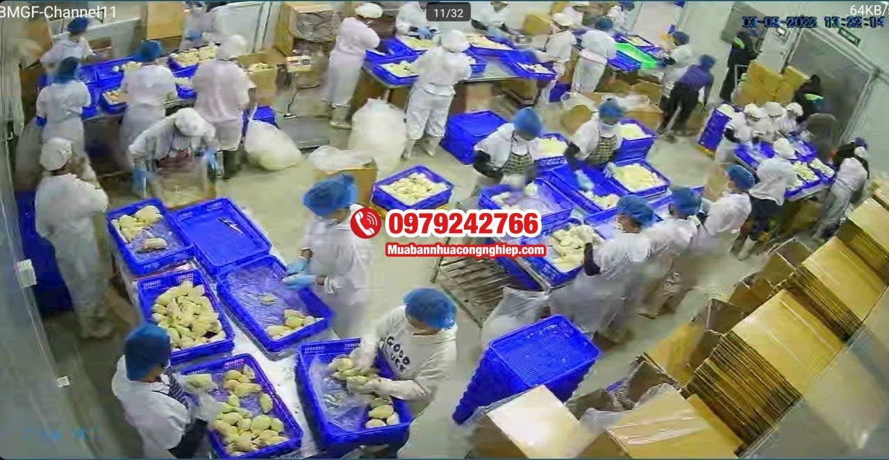 Ứng dụng thực tế của rổ nhựa đựng múi sầu riêng