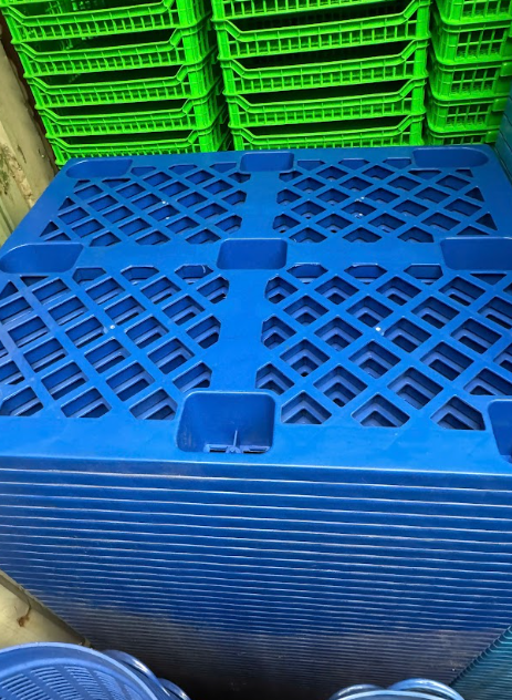 Pallet nhựa dùng trong ngành thực phẩm: Lựa chọn an toàn, vệ sinh