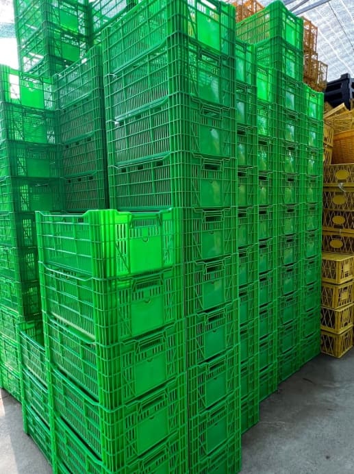 Cách Tối Ưu Lưu Trữ Bằng Sóng Nhựa Giúp Kho Hàng Khoa Học Hơn