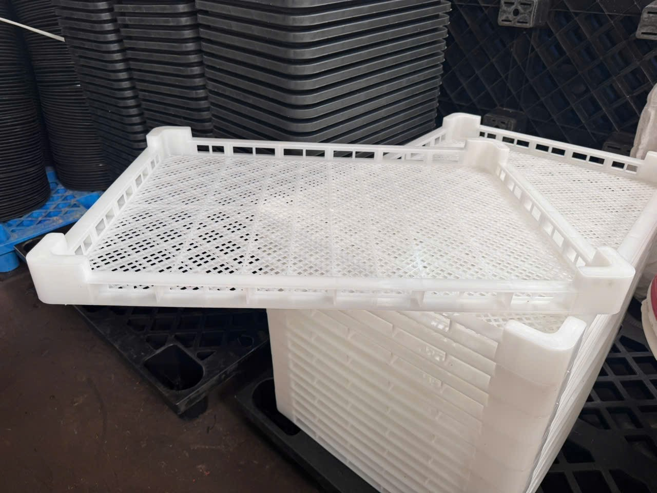 Khay sấy nhựa dùng để sấy những loại nông sản nào?