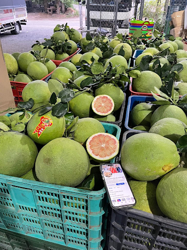 Kinh nghiệm chọn sọt nhựa cho kho trái cây xuất khẩu