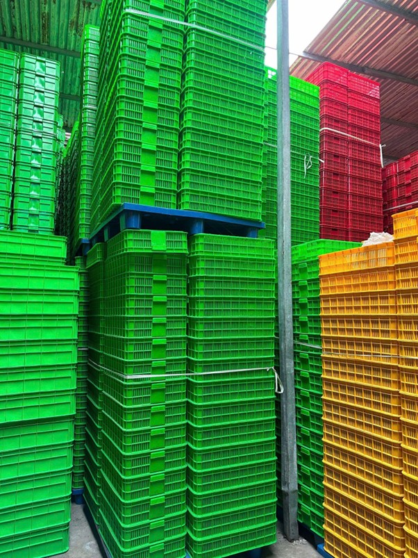 5 tiêu chí quan trọng khi sử dụng rổ nhựa tiệt trùng trong dây chuyền nước giải khát