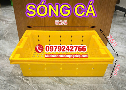 Thùng nhựa (Sóng nhựa) thủy sản – Giải pháp bảo quản & vận chuyển hải sản an toàn