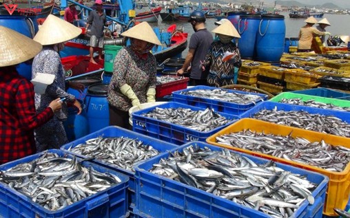 Thùng Nhựa Bít (Thùng Nhựa Đặc, Sóng Bít) 1T9 – Giải Pháp Chứa Hàng Tải Trọng Lớn, Siêu Bền