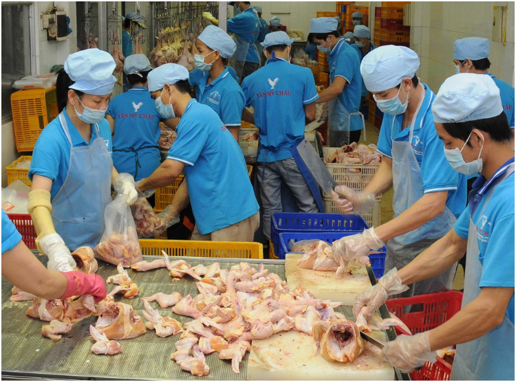 Sóng gà, sọt thịt & sóng thịt – Bộ giải pháp lưu trữ tối ưu cho ngành thực phẩm
