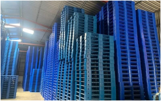 Tìm pallet giá rẻ tại Đồng Tháp – Lựa chọn tiết kiệm cho doanh nghiệp và nông hộ